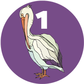 pelican icon 1